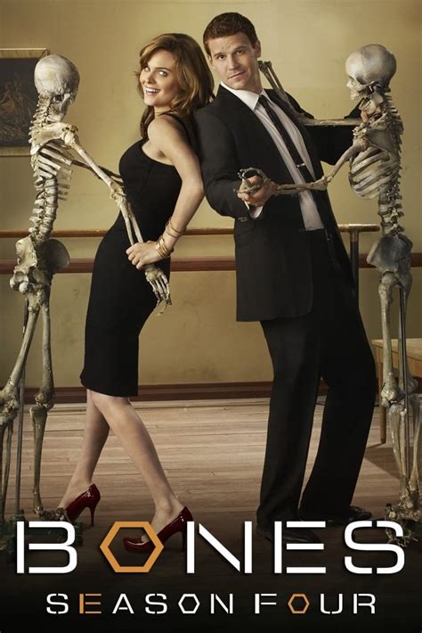 bones season 4|bones tv series season 4.